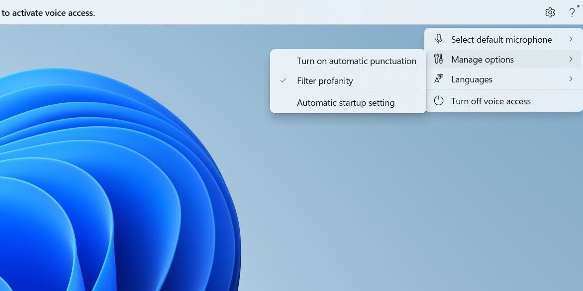 Voice Access in Windows 11